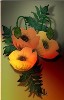Hot Poppies